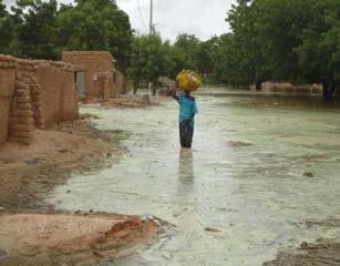 Unearmarked funds to repay DREF are encouraged. Summary: Torrential rains in Niger in August 2011 caused heavy flooding in the regions of Dosso, Tillabéry, Tahoua and Maradi.