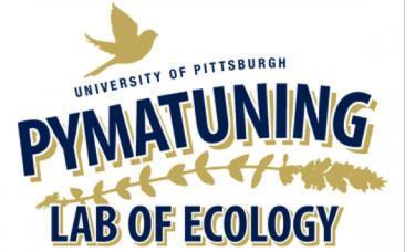 This summer Pitt Bradford faculty member, Dr. Denise Piechnik will be an instructor at Pymatuning! Details: 2 hour drive from Pittsburgh. Most courses span 3 weeks.