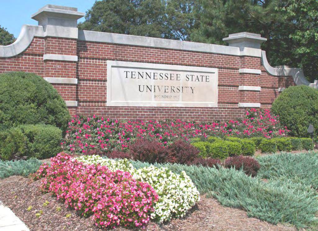 Future Outlook These First 100 Days have set the stage for a comprehensive, campus-wide, data-driven strategic planning process that will be critical to defining the future of Tennessee State