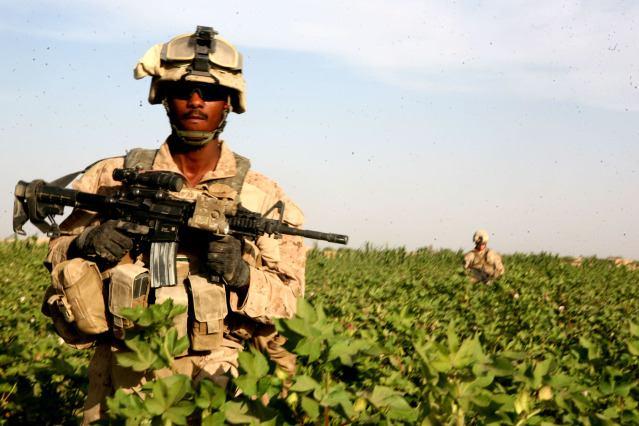 Lance Cpl. Taylor M. Boyd, a squad automatic weapon gunner with Echo Company, 2nd Battalion, 6th Marine Regiment, pauses during a patrol through Marjah, Afghanistan, Aug. 15, 2010.