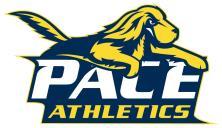 Pace University Athletics Department Policies and Procedures Manual 69 ON-CAMPUS TRYOUTS ALL APPROPRIATE FORMS REGARDING THIS TRYOUT MUST BE SUBMITTED TO THE COMPLIANCE OFFICE PRIOR TO CONDUCTING THE