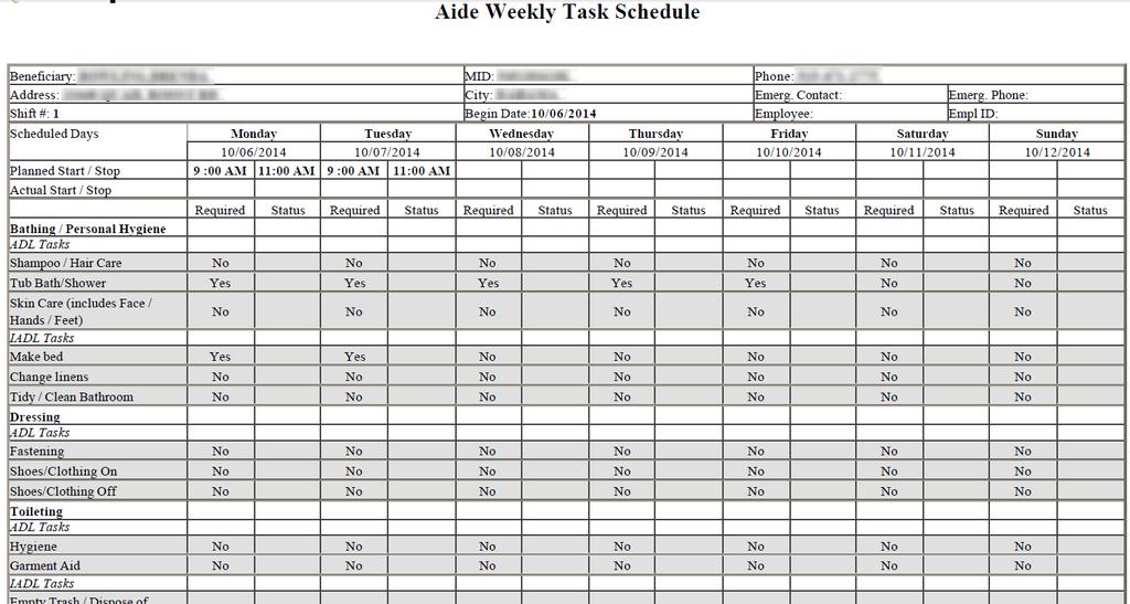 Sample Weekly Aide Schedule Form (Top) Customized for each