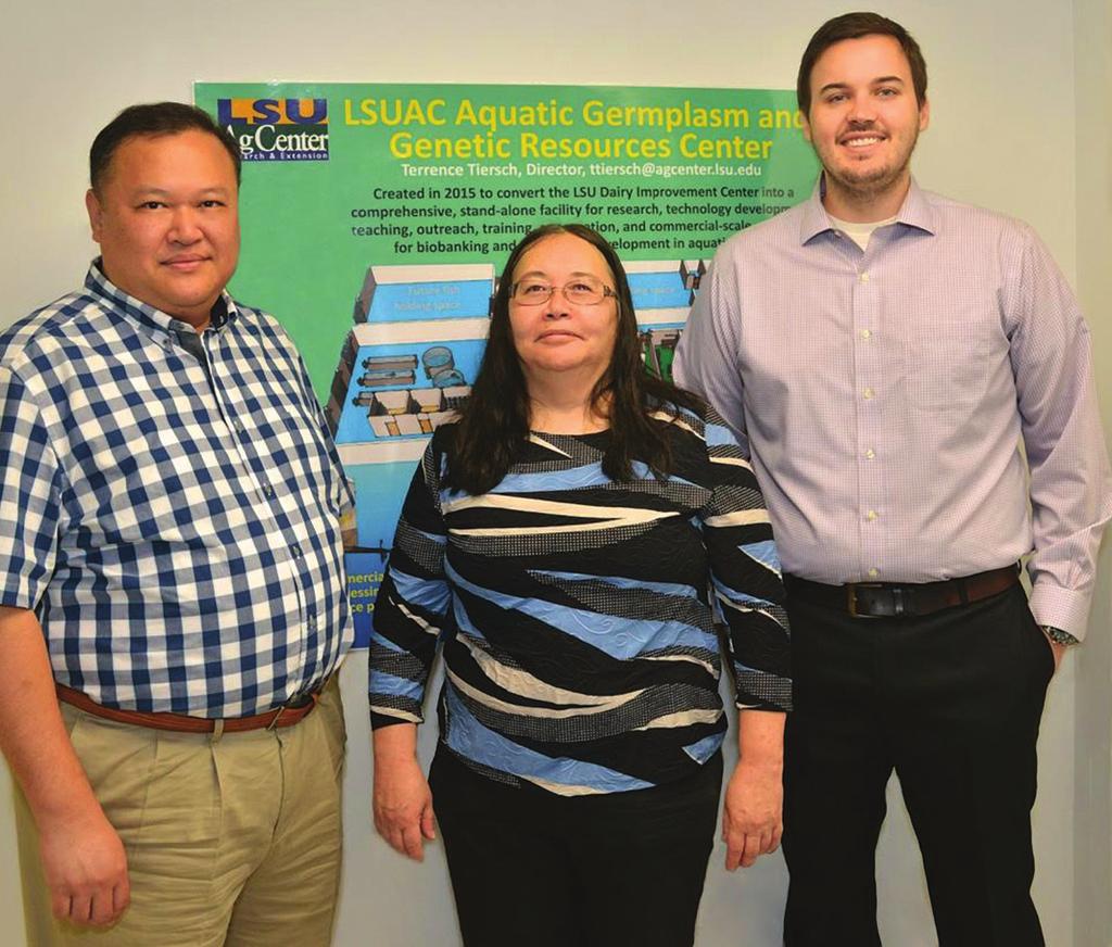 From left, Jin-Woo Choi, Maria Gutierrez-Wing, and Ph.D. candidate Davis Lofton are three members of the team working to develop a new method for introducing light into algae ponds.