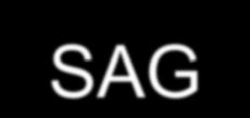 Race Jargon & Slang SAG
