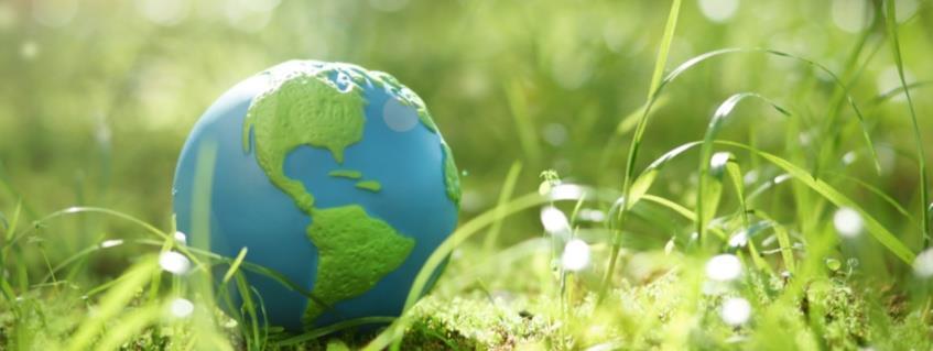 footprint Product responsibility Environmental management Circular economy