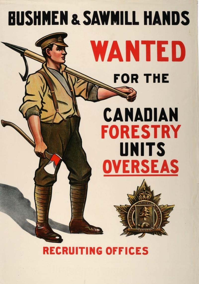 The Canadian Forestry Corps provided lumber for the Allied war effort by cutting and preparing timber in the United Kingdom and on the continent of Europe in WW I.