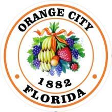TO: Applicants for Employment City of Orange City Employment Application Supplemental Page The Uniform Guidelines on Employee Selection Procedures require records to be kept by sex and five