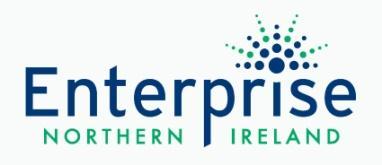 Enterprise Northern Ireland Response to Committee for Enterprise, Trade and Investment: Developing a Co-Ordinated Programme for Retail Incubation in Northern