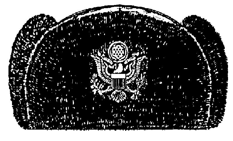 Organizational beret with flash Figure 26-4.
