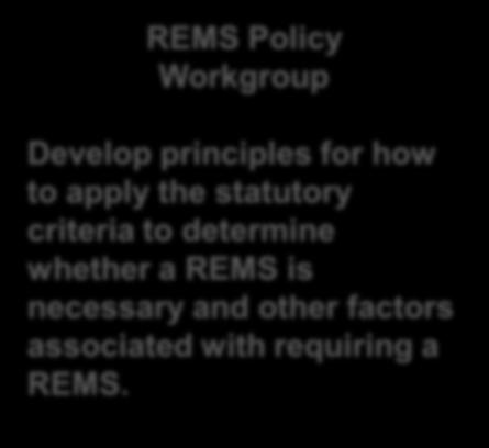 apply the statutory criteria to determine whether a REMS is necessary