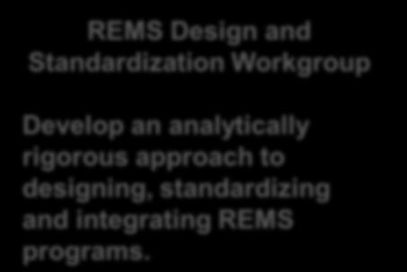 REMS Design and Standardization Workgroup Develop an analytically