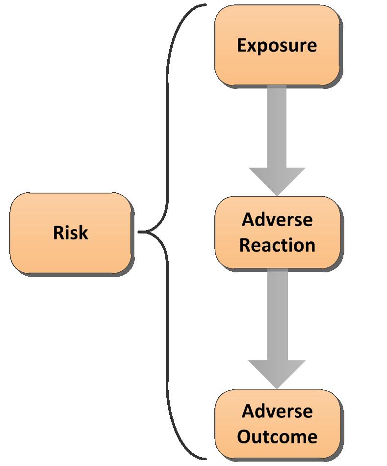 Characterize the risk and safe use of the drug How do patients become exposed to the risk?