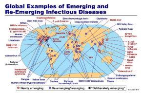 Emerging and evolving laboratory risks 2014-2016 EVD Outbreak Redefined