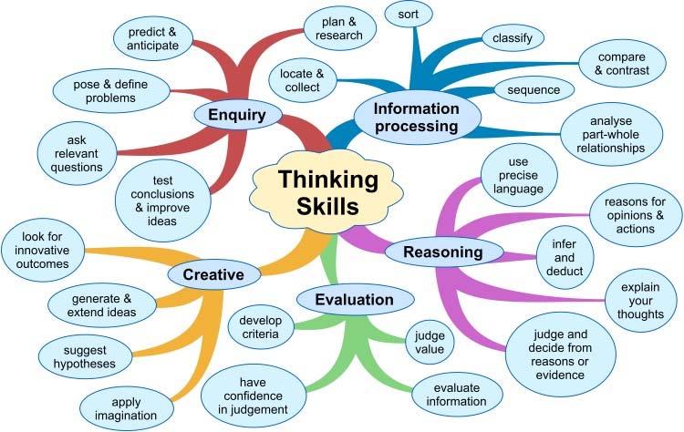 Transferable Skills: Liberal Arts Majors Writing Speaking Cross-cultural knowledge Numeracy Analytical thinking