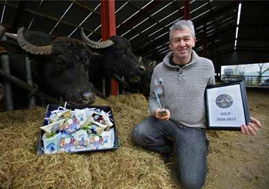 With a new cheese production facility on the farm, he and cheese expert Seán Ferry began producing cheese from the farm s buffalo milk.