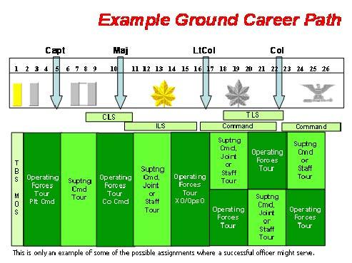 regarding possible career paths as well as guidance regarding career planning.