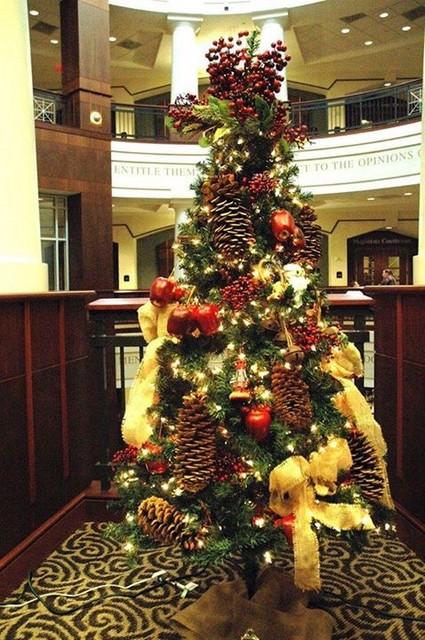 Douglas County Celebrating 2017 Festival of Trees Wednesday, November 1: You are invited to participate in the 5th annual Douglas County Festival of Trees in the Douglas County Courthouse Art Gallery