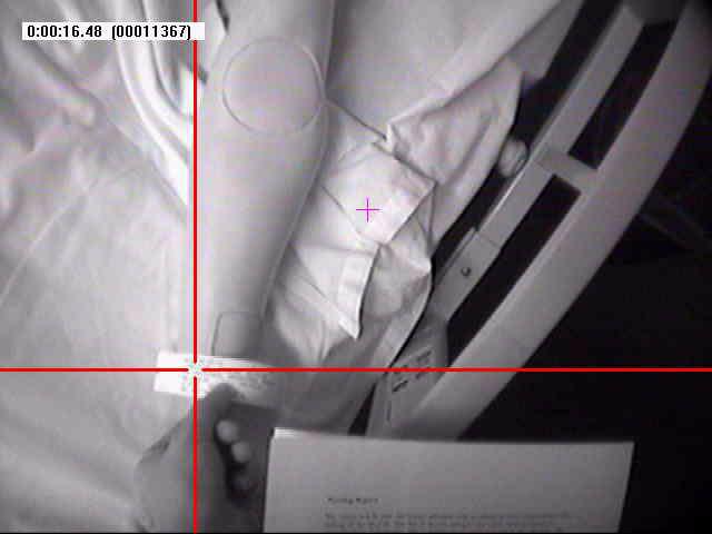 Figure 2: Eye tracking video