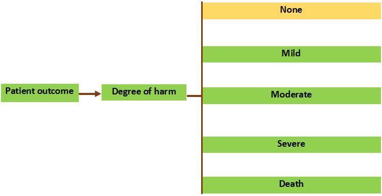 Figure 6 Classification of the severity levels (degree) of the identified harm.