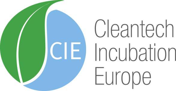 CIE Cleantech Incubation Europe DURATION: 2012-2014 CONSORTIUM: Green Net Finland, Delft University of Technology, I3P Innovative Companies Incubator of the Politecnico of Torino, Municipality of