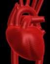 The patient has a history of coronary artery disease (CAD) and hypertension (HTN).