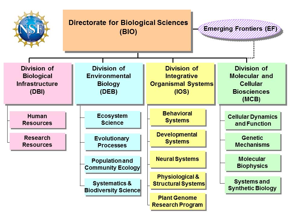 Directorate for Biological Sciences An example of an