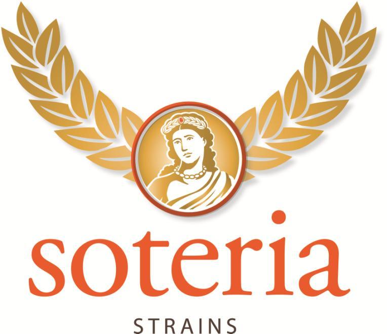 Soteria Strains Safe Patient Handling and Mobility Program Guide Section 2 Identifying Hazards and Assessing