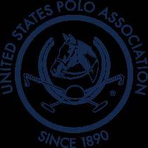 POLO DEVELOPMENT STRATEGIC PLAN In 2016, Polo Development began the