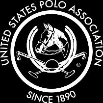 strategic changes completed during the 2015-2017 Polo Development