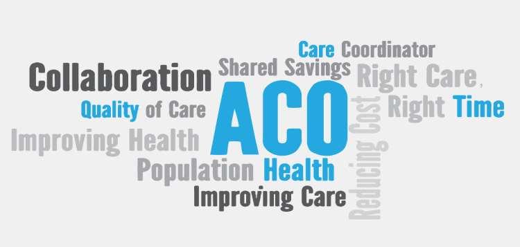 What is an Accountable Care Organization?
