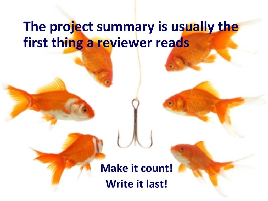 ACS Webinar, A reviewer will often form a first impression of a proposal based on what s in the project summary. (You never get a second chance to make a good first impression.