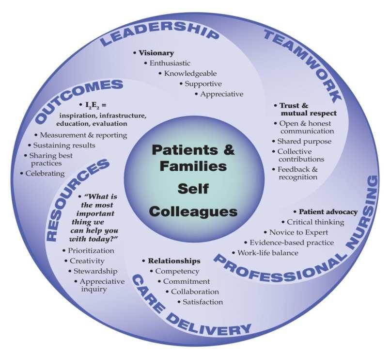 15 Figure 1. Pictorial representation of the components of relationship-based care.