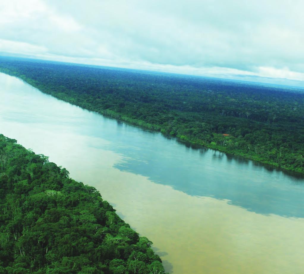 Rainforest Preservation Marriott is protecting endangered Brazilian rainforest in the Juma Sustainable Development Reserve in the State of Amazonas through a $2 million grant.