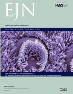 European Journal of Neuroscience (EJN) FENS benefits at a glance EJN is the official journal of FENS, published in association with Wiley.