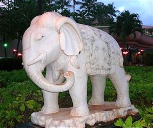 , CA., U.S.A.! AUGUST 15, 2016 ROTARY SHARES Photo Above: The White Elephant photo was taken by Rotarian Jack Wallace during a trip to Hawaii in 2008.