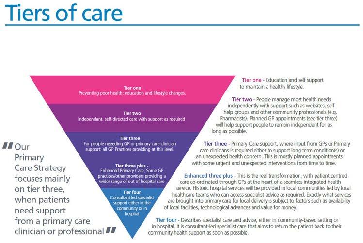 The strategy identified six goals to achieve the vision with 4 tiers of care broadly identified to cover the whole population with Tier 3 Plus being the transformational element of the