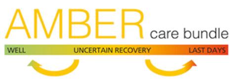 People. - Links have been made with The Amber Care Bundle Team at the hospital, to see how we have a clear Learning Disability pathway.
