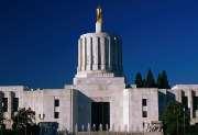 Oregon S 203 Introduced by a physician Senator Only a physician may conduct or maintain a medical practice A physician must have the responsibility, without interference or influence by persons who