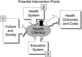 Opportunities Identifying current activities, policy, standards and stakeholders of health literacy Consulting with stakeholders to analyze current gaps and opportunities Developing an