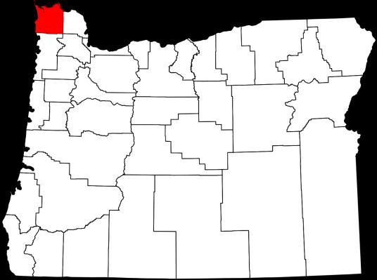 Today Clatsop County is one of nine Home Rule counties in Oregon. Five non-partisan elected Commissioners set policy and appoint a full-time County Manager, who is responsible for daily operations.