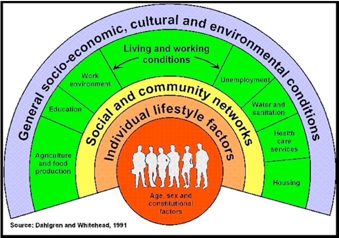 Community Health Implementation Plan Crown Point 7 Social Determinants of Health