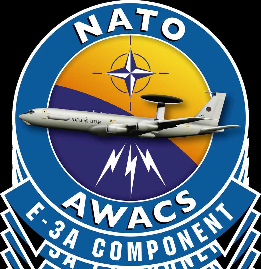 The NATO star symbolizes the multinational nature of the operational and supporting workforce of NATO s first international operational flying unit.