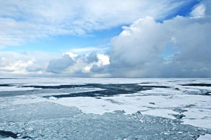 Significant uncertainty remains about the rate and extent of the effects of climate change, including climate variability, in the Arctic.