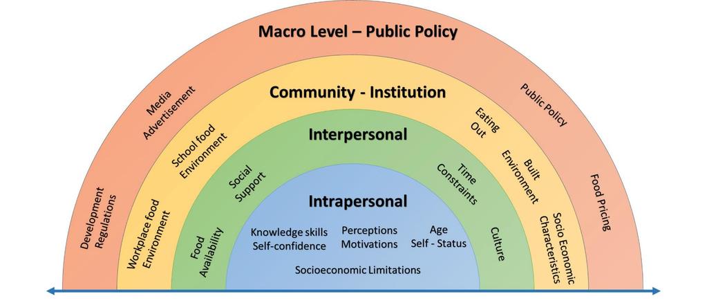 Conceptual Model Social Ecological Model for Health