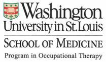 Excellence in PAS: Measures and Training Materials Washington University in St. Louis David B. Gray, Ph.D. Jessica L.