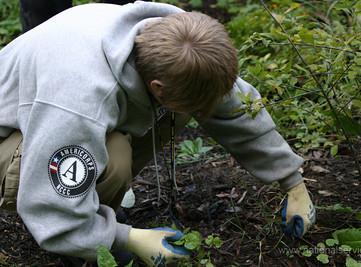Types of Activities Supported by AmeriCorps Grants Large