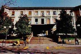 (FPO) CIC 305-3 (San Luigi Hospital)