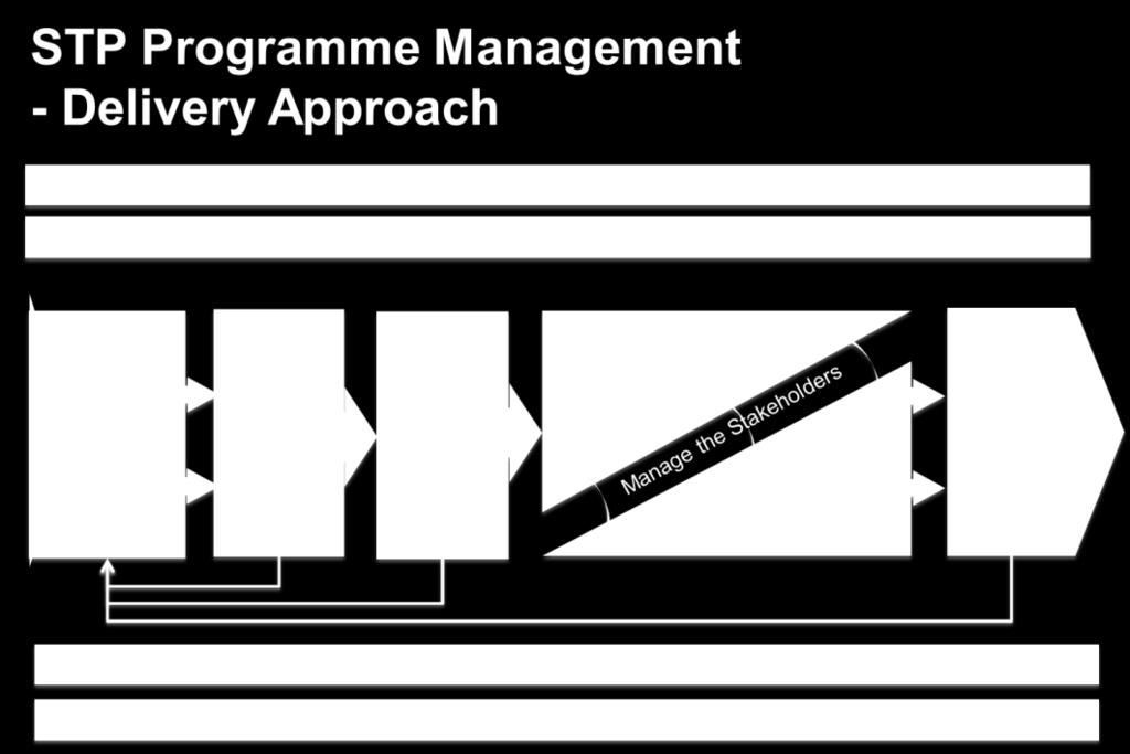 Programme Management Environment Key Elements In developing the STP programme we have used the following to guide the creation of the right programme environment for success: Create and articulate a