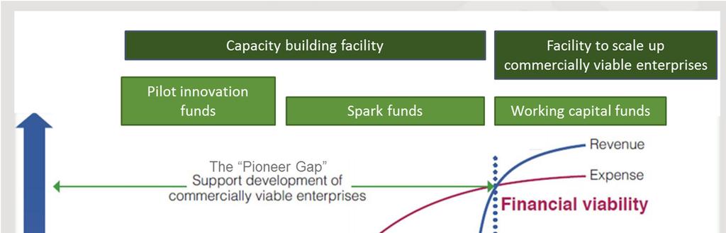 Fig.1 The Pioneer Gap The Spark Fund Round I Overview The Spark Fund I seeks to provide investment-like seed capital and capacity development support to help enterprises reach commercial viability,