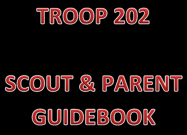 advancement and safe Scouting.